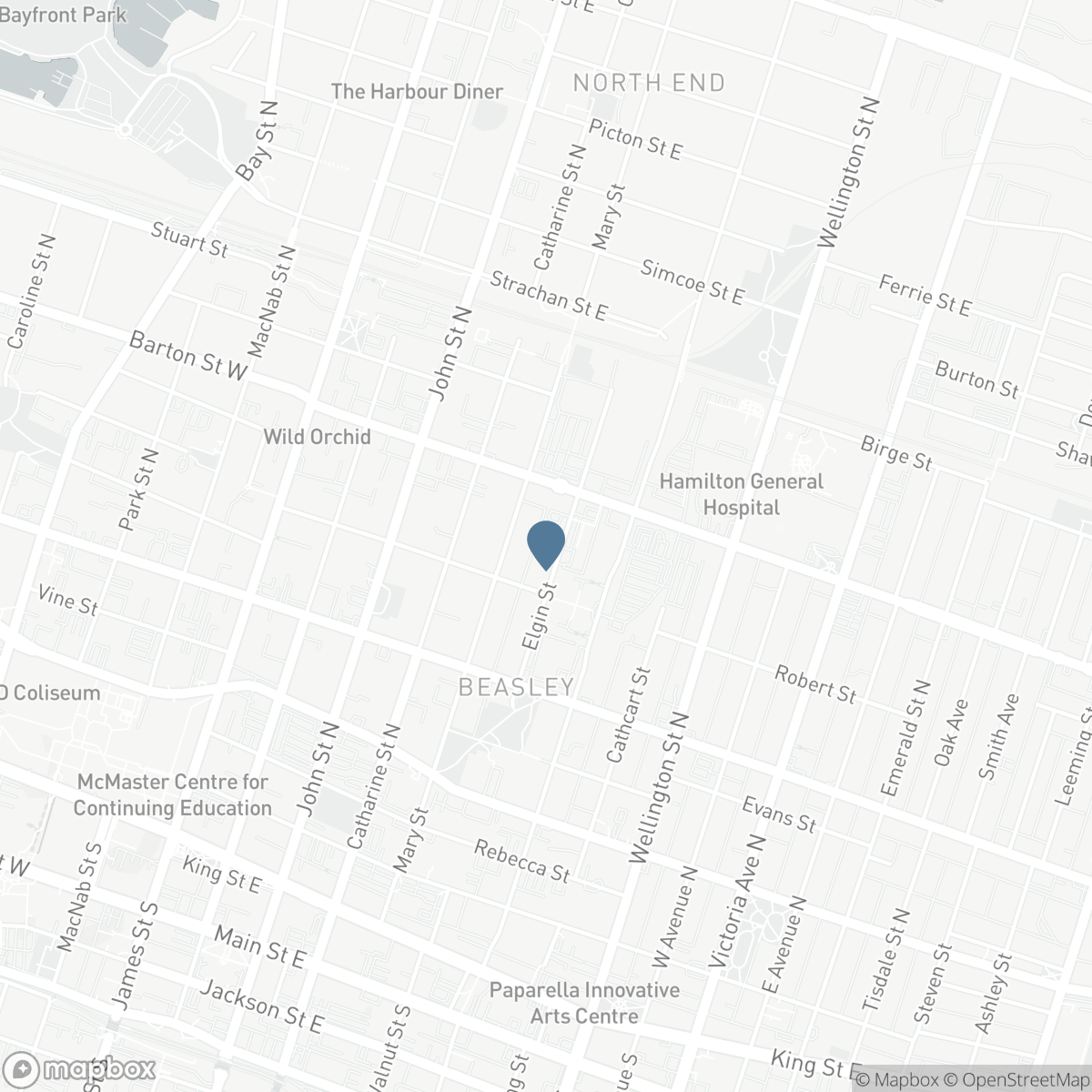 143 ELGIN STREET, Hamilton, Ontario L8L 4Y1